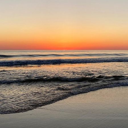 Palm Appart Biscarrosse-Plage Zewnętrze zdjęcie