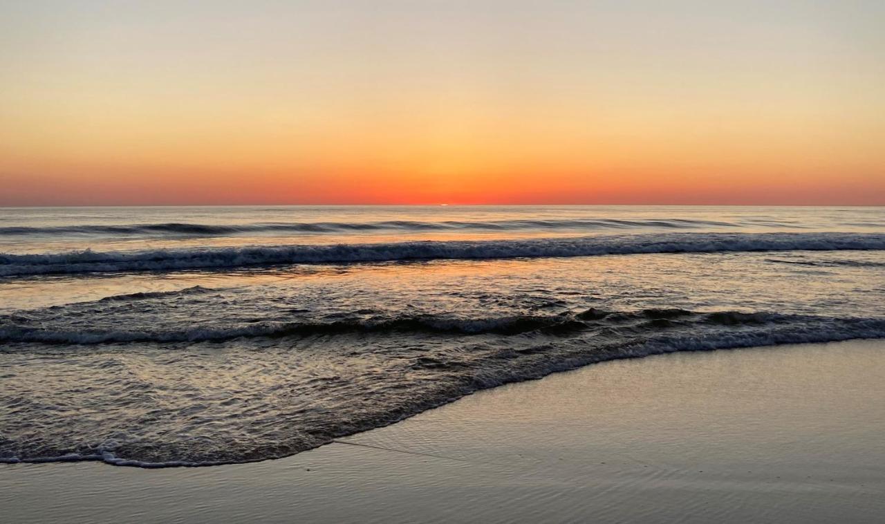 Palm Appart Biscarrosse-Plage Zewnętrze zdjęcie