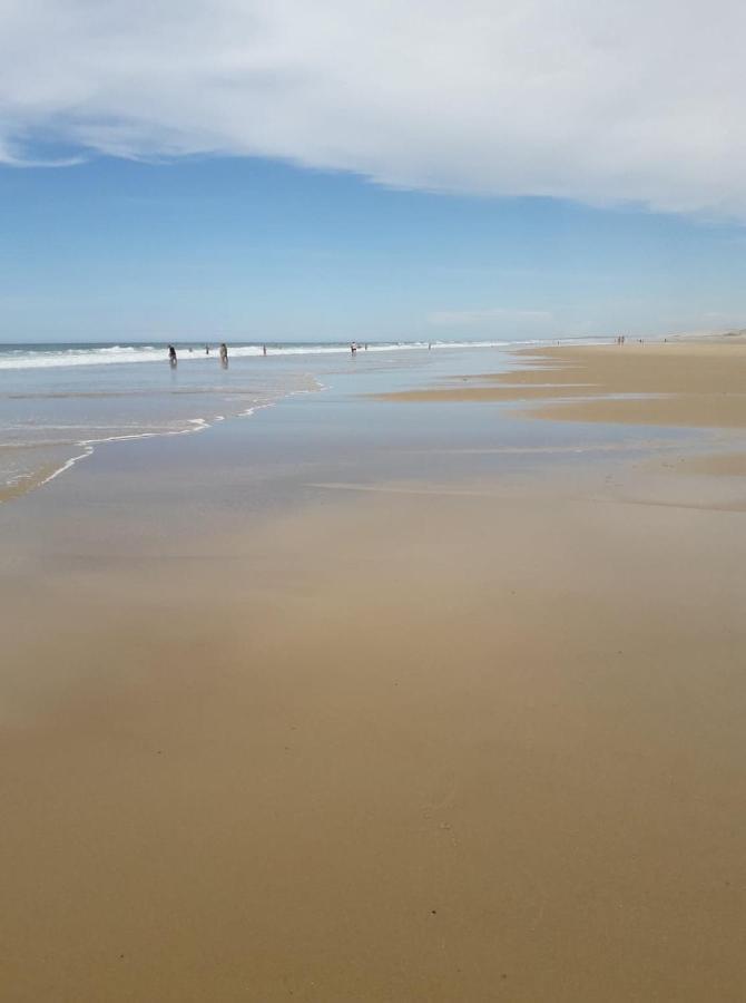 Palm Appart Biscarrosse-Plage Zewnętrze zdjęcie